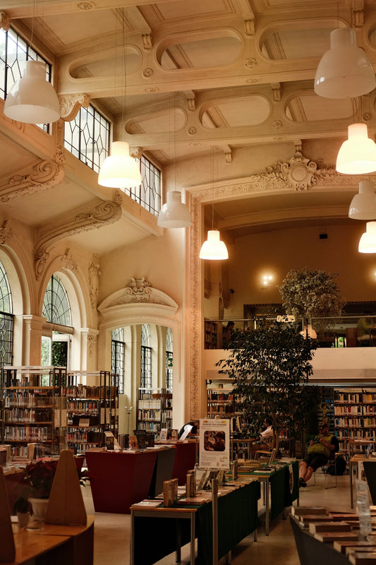 Discover Family Fun Exploring Local Libraries