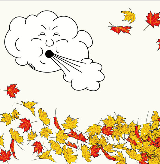 The Dance of the Twirling Leaves